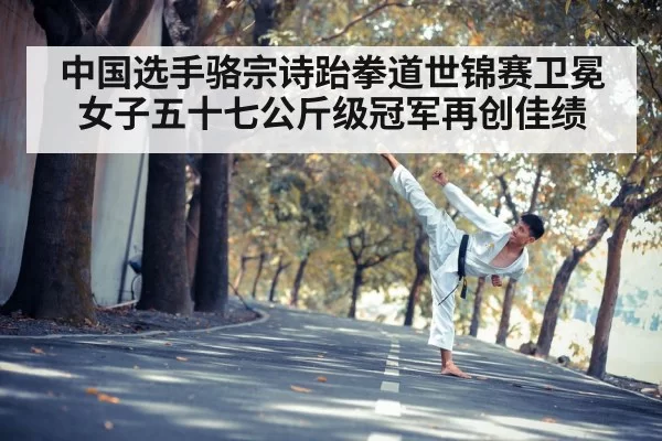 taekwondo kick